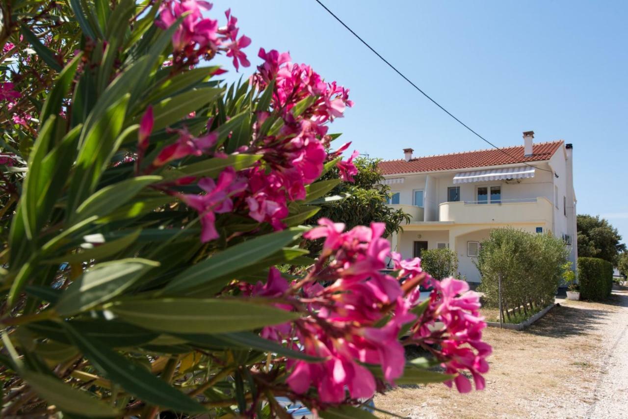 Apartments Maco Petrcane Exterior photo